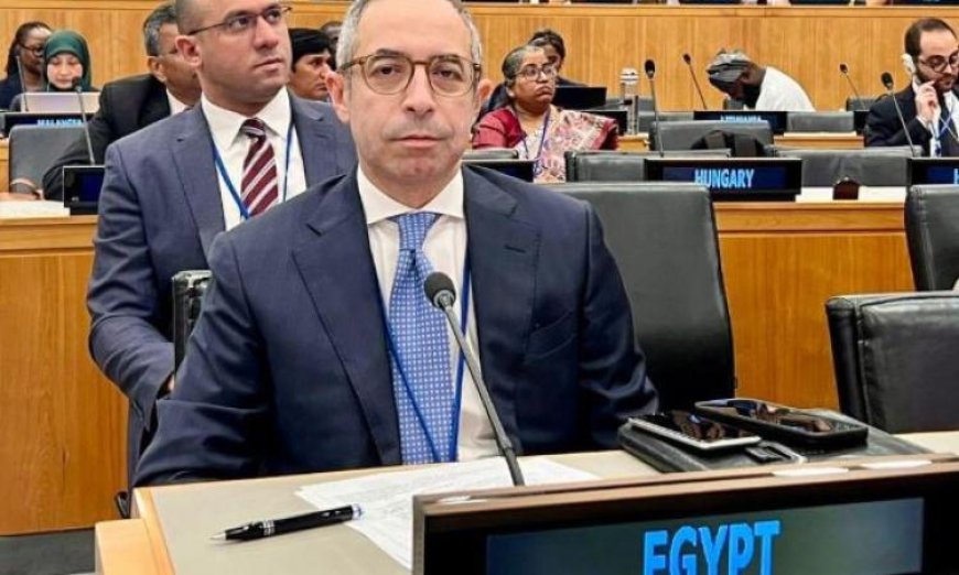 مصر تتألق في المنتدى الدولي لمراجعة تنفيذ أهداف الميثاق العالمي للهجرة