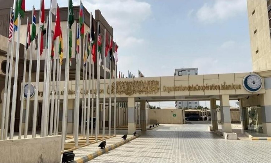 التعاون الإسلامي تشدد على أهمية احترام سيادة الدول وتعزيز حرية الملاحة العالمية