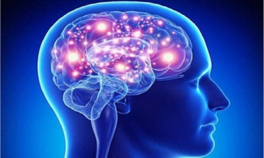 اكتشافات جديدة حول الدماغ وتأثير المرونة العصبية على الصحة النفسية