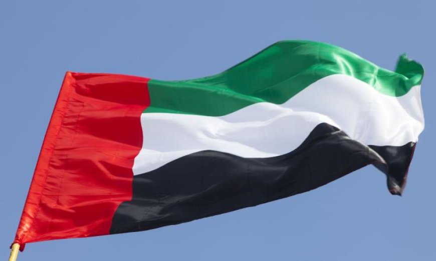 الإمارات تتصدر المشهد وتدين الهجوم على سفينة شحن كورية في مضيق هرمز