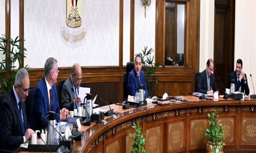 مدبولي يدعو للإسراع في تنفيذ مبادرة تعزيز استخدام الطاقة المتجددة في المصانع