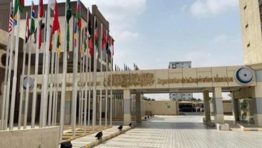 الحج والعمرة السعودية تطلق منظومة متكاملة وخطط تشغيلية مميزة لضمان أفضل خدمة للحجاج