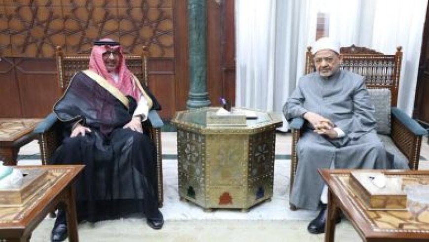 وزيرة التنمية المحلية تعزز جهود تبسيط إجراءات تراخيص المحال العامة لتحسين بيئة الأعمال