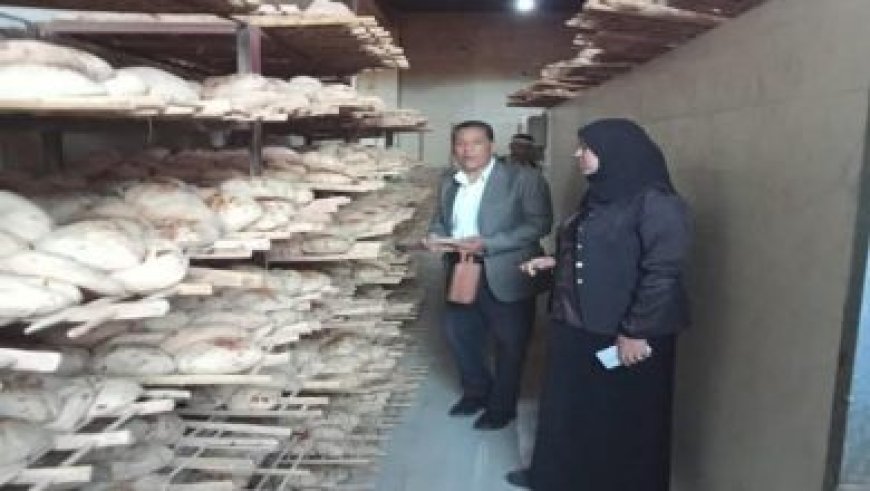 نائب وزير الصحة تواصل جولات ميدانية واجتماعات في الأقصر لتعزيز الصحة الإنجابية