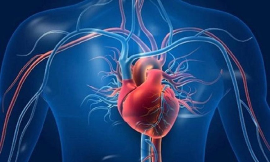 زيادة خطر الإصابة بأمراض القلب نتيجة الوحدة وتأثيرها على الصحة