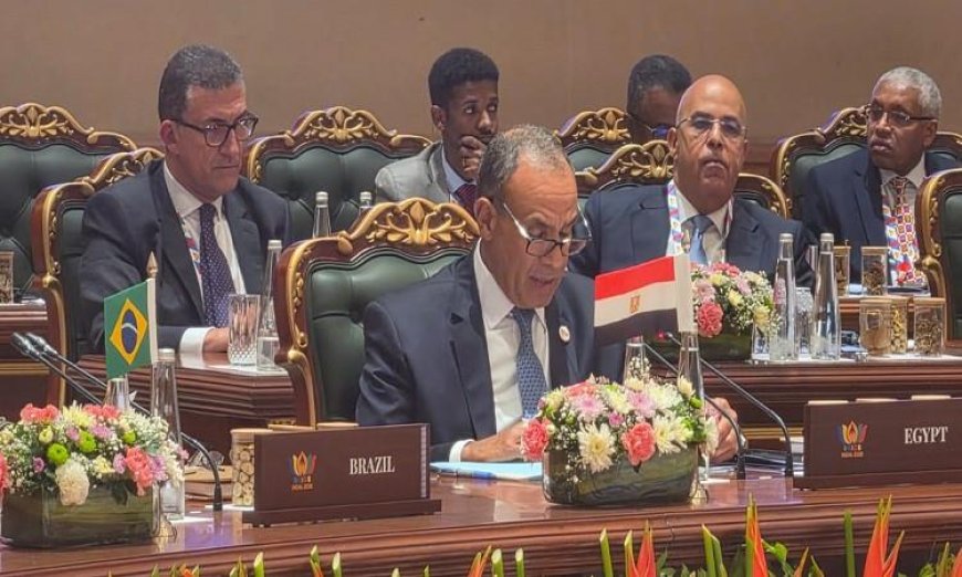 وزير الخارجية يشارك في اجتماع وزراء خارجية دول البريكس بجلسة موسعة