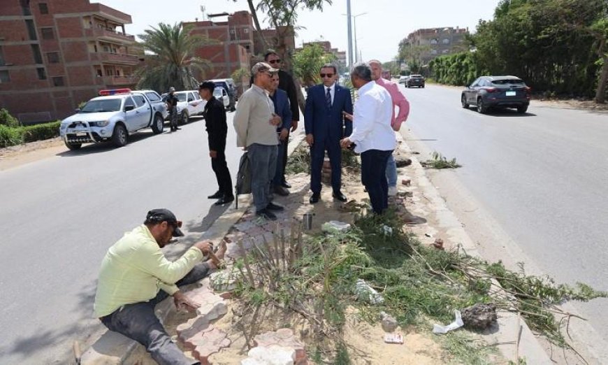 محافظ المنوفية يكشف عن آخر مستجدات تطوير الجزيرة الوسطى في طريق شبين الكوم – قويسنا