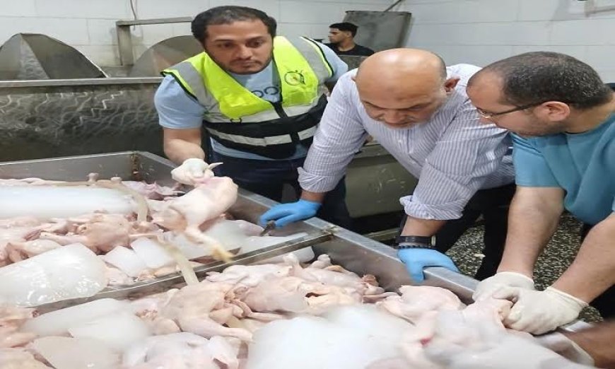 ضبط 3 أطنان من الدواجن الفاسدة في القليوبية تكشف عن أزمة غذائية جديدة