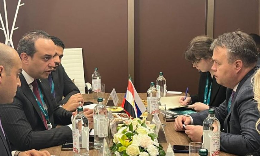 التعاون مع تتارستان في الفحص الطبي والاستثمار الصحي ضمن مبادرة نرعاك في مصر