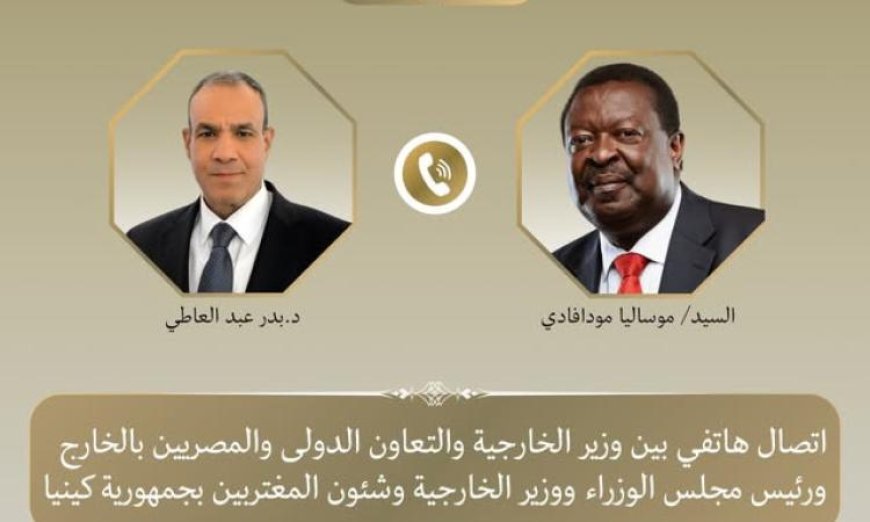 وزير الخارجية يناقش تعزيز العلاقات الثنائية مع كينيا وقضايا القارة الأفريقية