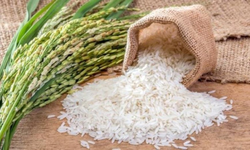 تقديرات أمريكية تشير إلى انخفاض إنتاج الأرز العالمي نتيجة الجفاف القاسي