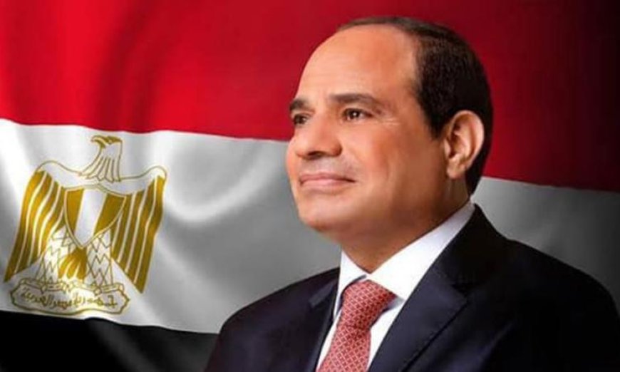 الرئيس السيسي يبارك ملك النرويج بمناسبة الاحتفال بذكرى يوم الدستور