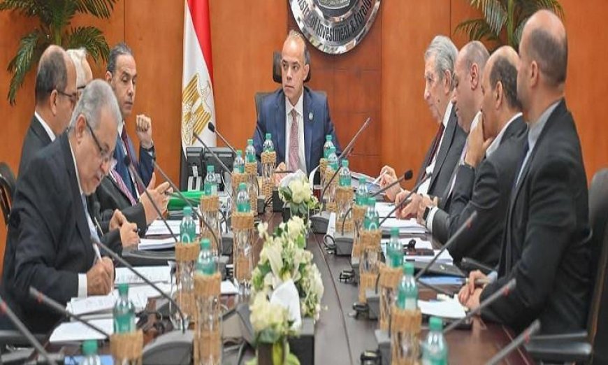 وزير الاستثمار يكشف عن جهود استكمال معايير المحاسبة لتعزيز تنافسية الاقتصاد المصري