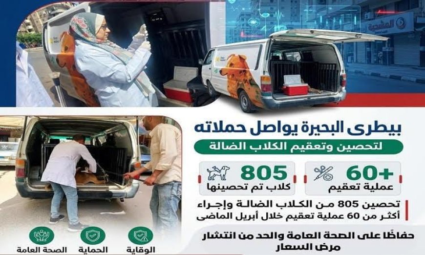 بيطري البحيرة يعزز جهوده لتحصين وتعقيم الكلاب الضالة لحماية المجتمع