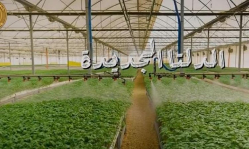 الرئيس السيسي يستعرض الفيلم الوثائقي الدلتا الجديدة أثناء موسم حصاد القمح