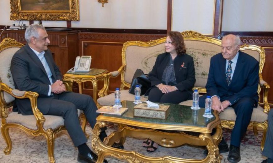 وزير الإنتاج الحربي يتعاون مع خبير دولي لتعزيز الاستفادة من الطاقة الشمسية