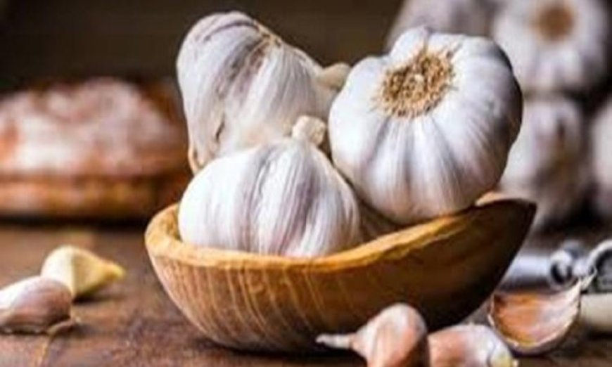 الثوم المعتق سلاح فعال للتغلب على ضعف العضلات نهائياً