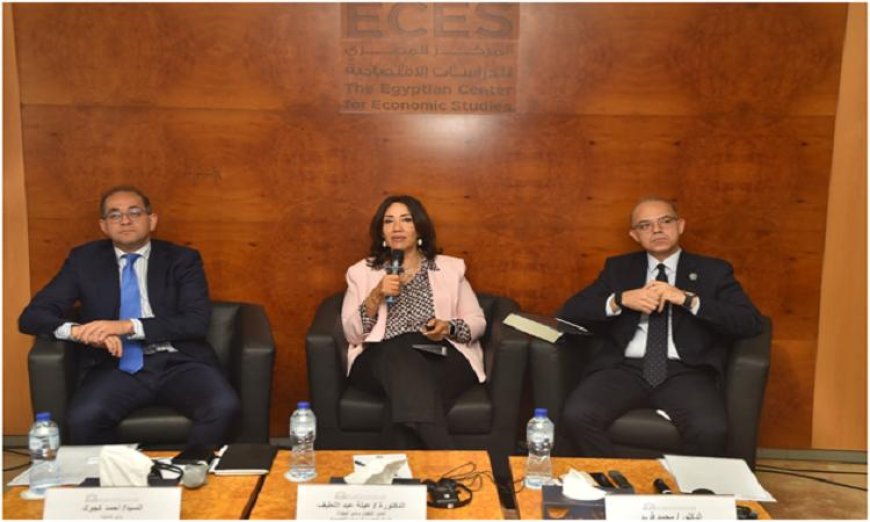 “المالية تكشف عن موافقات إقامة المناطق الخاصة المخصصة للتصدير بنسبة 100%”