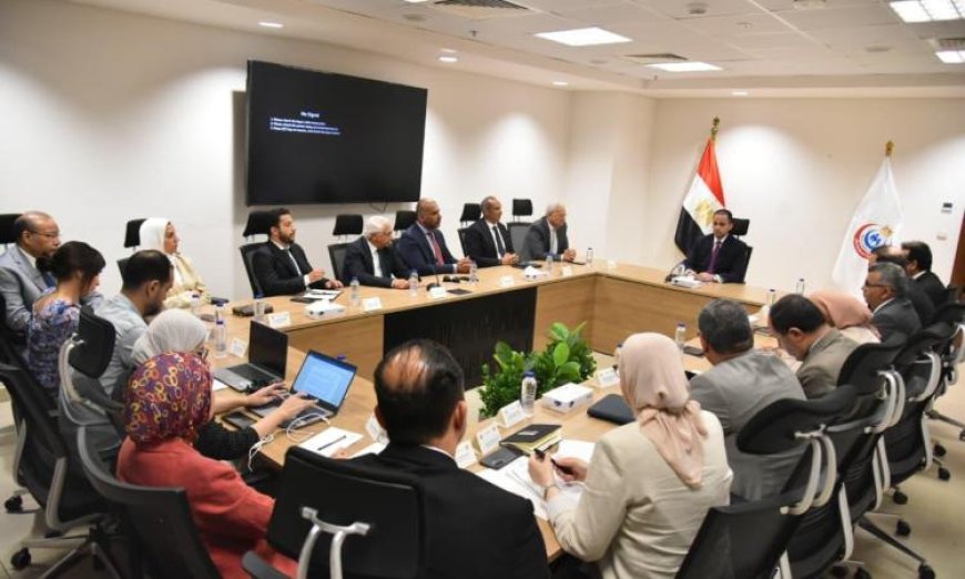 نائب وزير الصحة يعقد اجتماعًا مع مجموعتي صحة وابرايم لتعزيز الاستثمار في القطاع الطبي