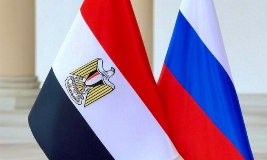دبلوماسي روسي يؤكد تميز العلاقات الروسية المصرية