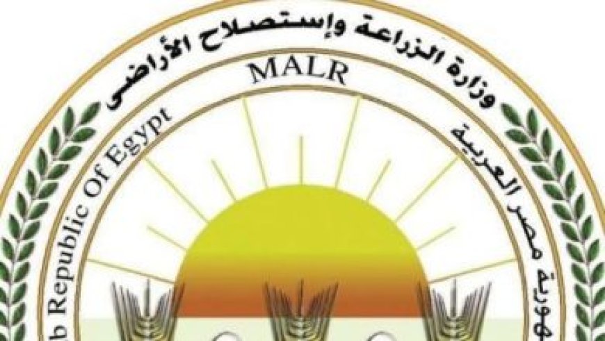 أسعار الذهب تنخفض بفعل ضغوط الفائدة وزيادة التوترات في الشرق الأوسط