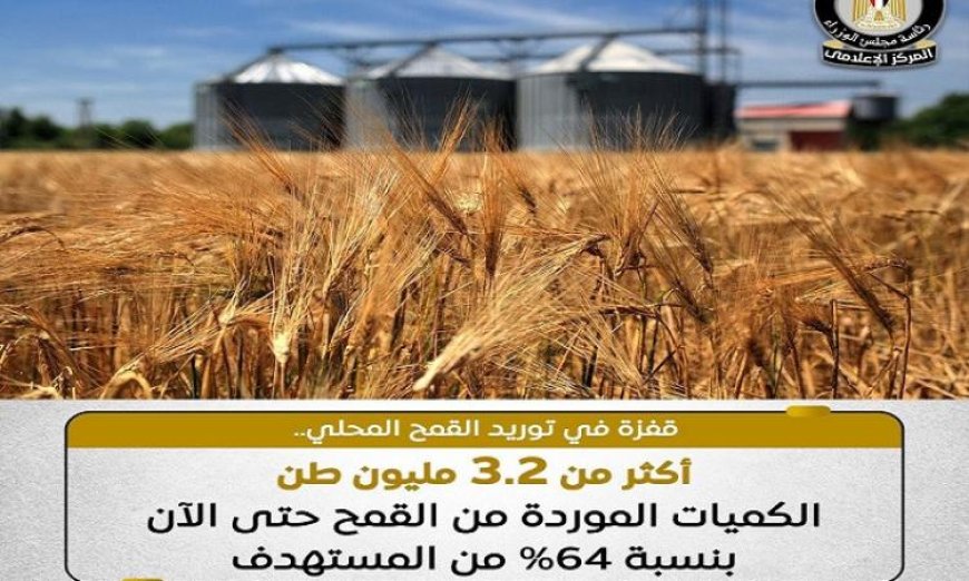 اجتياز مزارعينا لمعدلات غير مسبوقة في توريد محصول القمح لهذا الموسم