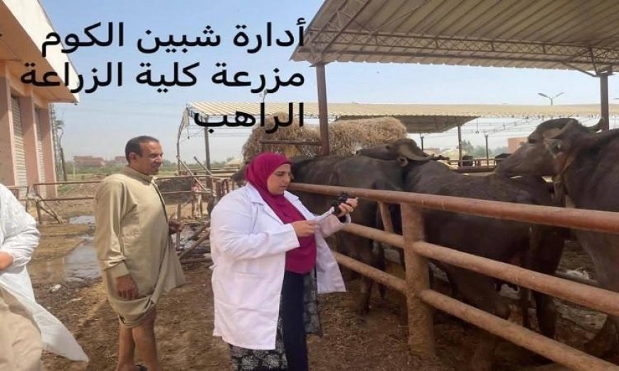 محافظ المنوفية يعلن عن تحصين 313 ألف رأس ماشية لمواجهة مرض الحمى القلاعية