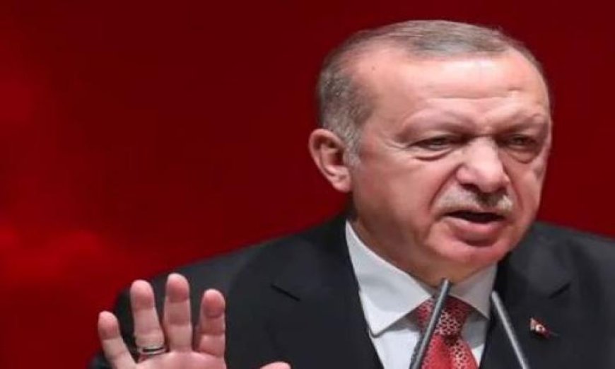 أردوغان وترامب يتواصلان هاتفيًا لبحث تعزيز العلاقات الثنائية وآخر المستجدات الإقليمية