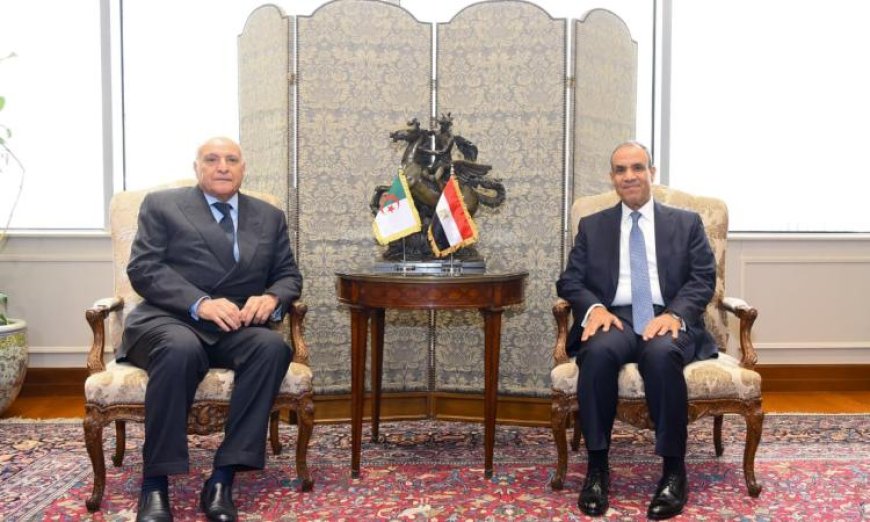 وزير الخارجية يؤكد العمق الاستراتيجي والتميز في العلاقات المصرية الجزائرية
