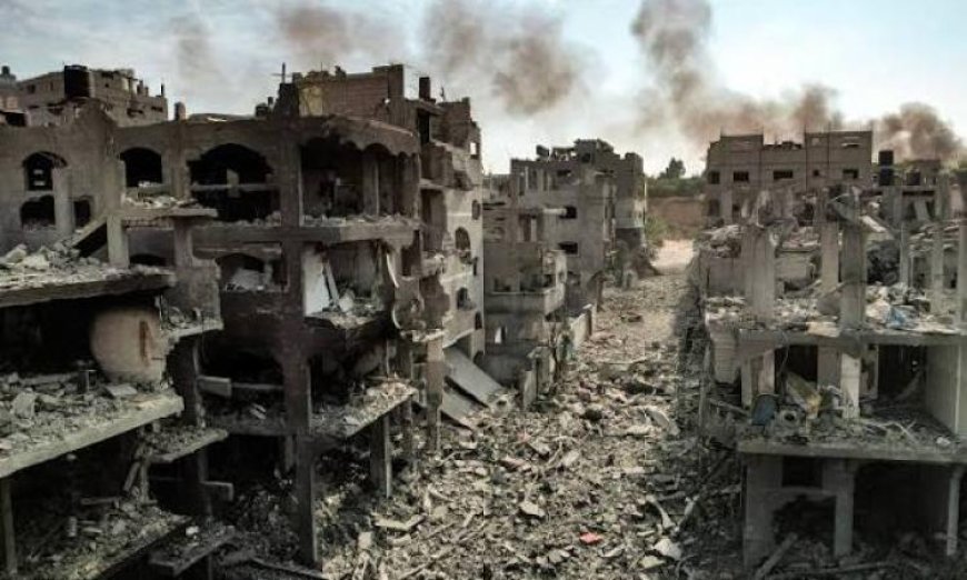 المديرة الإقليمية للصحة العالمية تكشف عن غياب المستشفيات المؤهلة في غزة