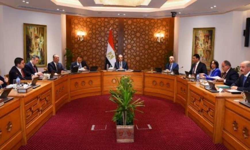 مصر وتونس والجزائر تؤكد أن الحل السياسي هو المفتاح لإنهاء الأزمة الليبية