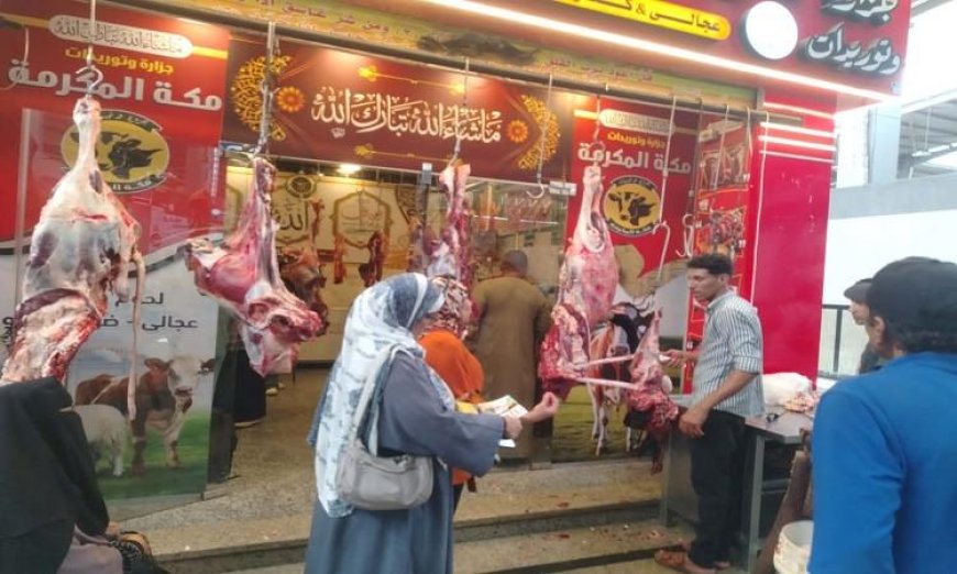 مياه البحر الأحمر تعلن حالة الاستعداد القصوى لاستقبال عيد الأضحى المبارك