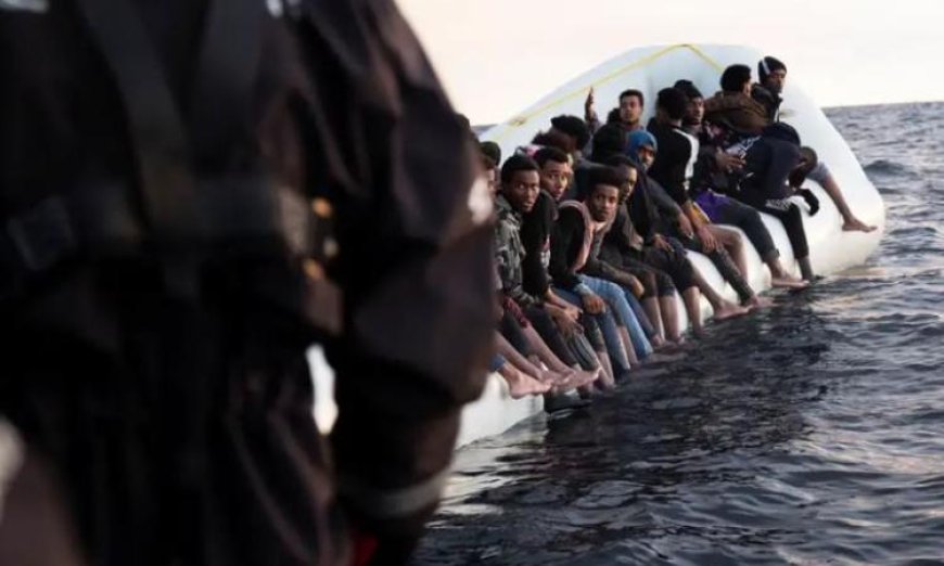 النمسا والتشيك تدشنان حملة جديدة لمكافحة مافيا التهريب وتعزيز الأمن الحدودى