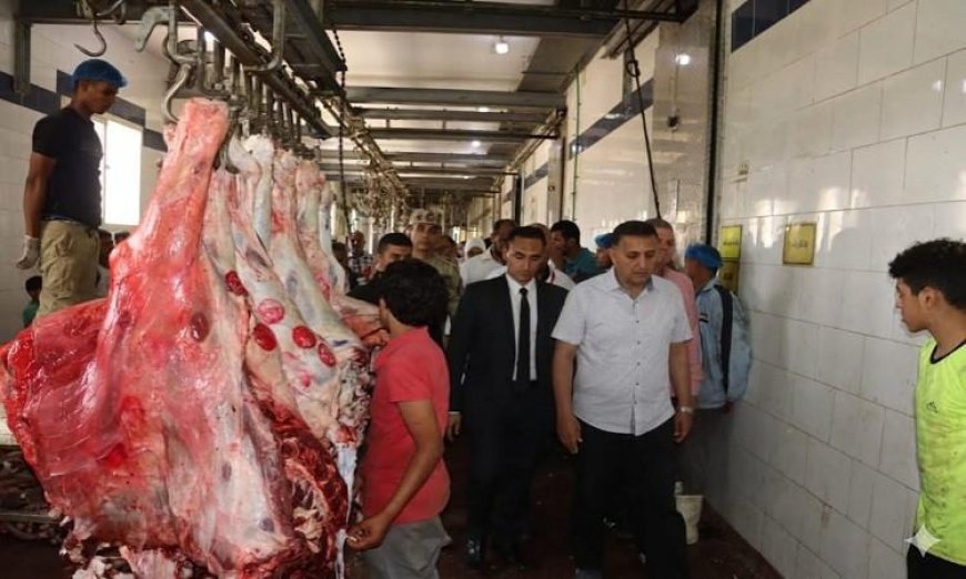 محافظ القليوبية يقوم بجولة تفقدية لمجزرة شبرا شهاب في القناطر الخيرية