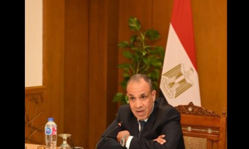 وزير الخارجية يؤكد أن العلاقات بين مصر والدول الإفريقية تعزز الروابط الحضارية والإنسانية