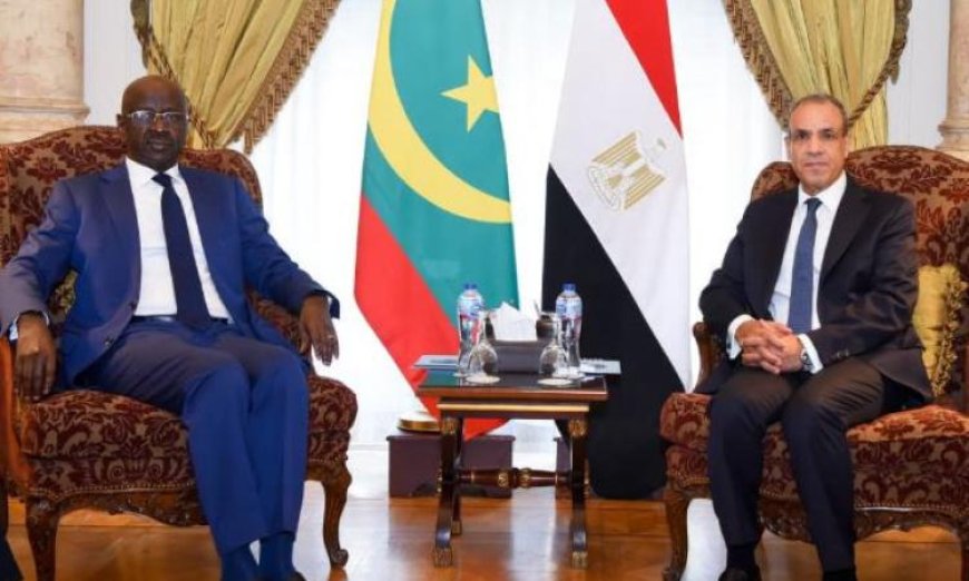 وزير الخارجية يناقش مع نظيره الموريتاني تعزيز التعاون الثنائي بين البلدين