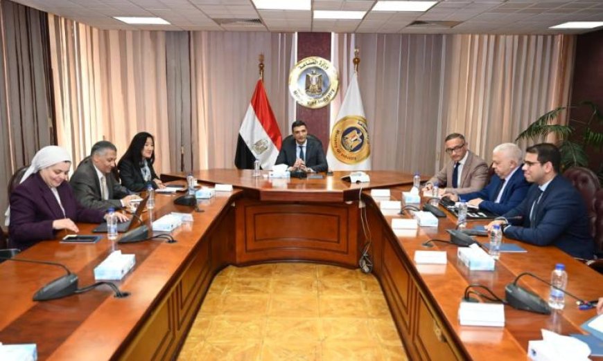 وزير الصناعة يناقش مع برنامج الأمم المتحدة مستقبل التحول الأخضر والطاقة المتجددة