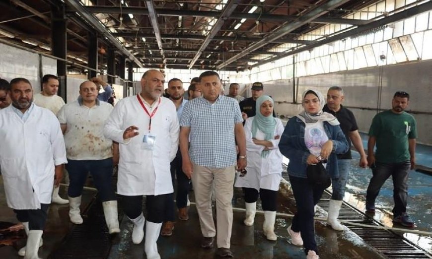 محافظ القليوبية يقوم بجولة تفقدية في مجازر الخانكة والقلج استعدادًا لعيد الأضحى المبارك
