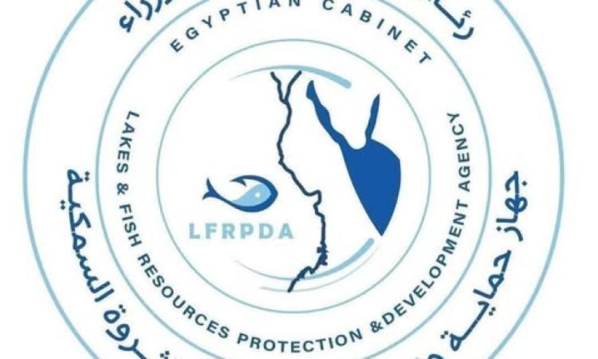 تنمية البحيرات والثروة السمكية تطلق مليون وحدة من زريعة البلطي النيلي في دمياط لتعزيز الثروة السمكية