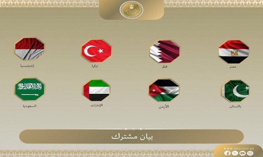 مصر و7 دول تندد بشراسة بأفعال بن غفير ضد المشاركين في أسطول غزة