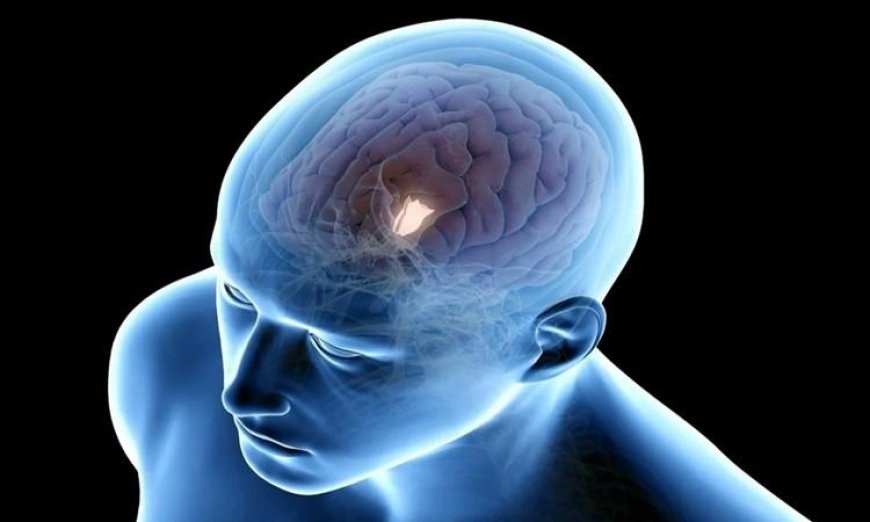 اكتشاف آلية خفية للشيخوخة في الدماغ ومكمل بسيط يخفف آثار التدهور العقلي