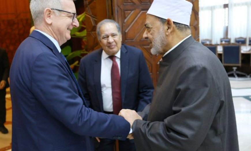 شيخ الأزهر يثني على أيرلندا لدعمها الشجاع للقضية الفلسطينية