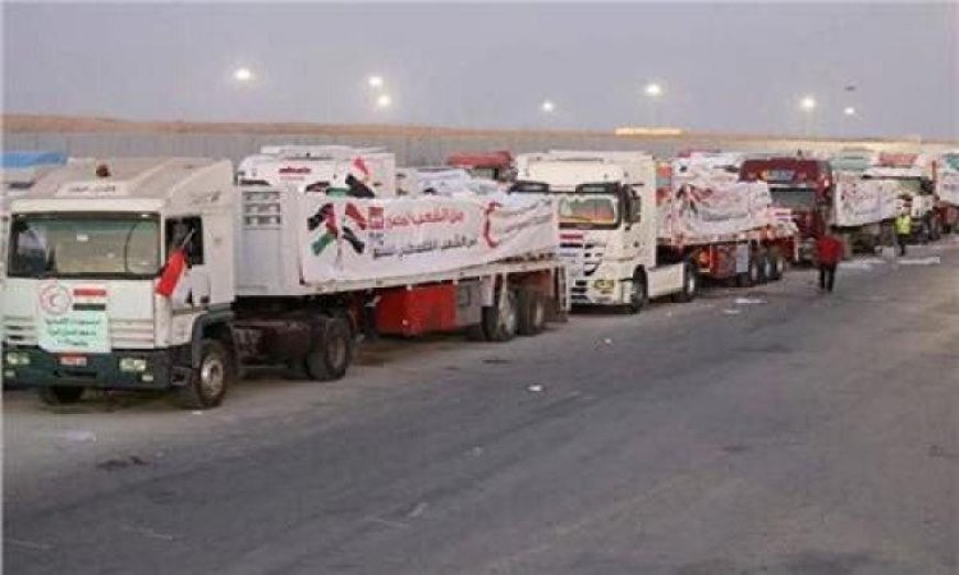 قافلة زاد العزة 203 تصل إلى قطاع غزة لدعم الفلسطينيين