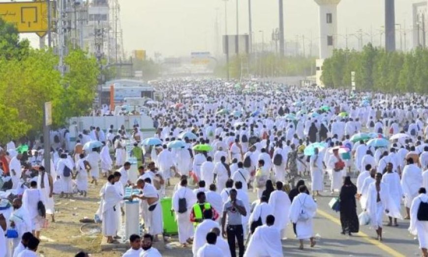 السياحة تؤكد عدم التهاون مع الشركات المخالفة لالتزاماتها تجاه الحجاج
