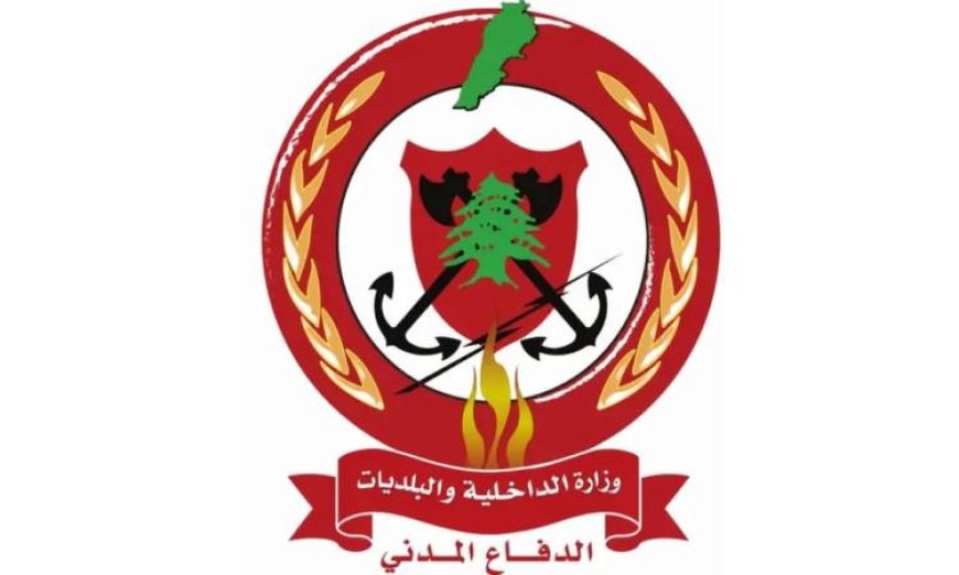الدفاع المدني اللبناني يحقق إنجازا في إجلاء 29 مواطنا من الدوير والنبطية