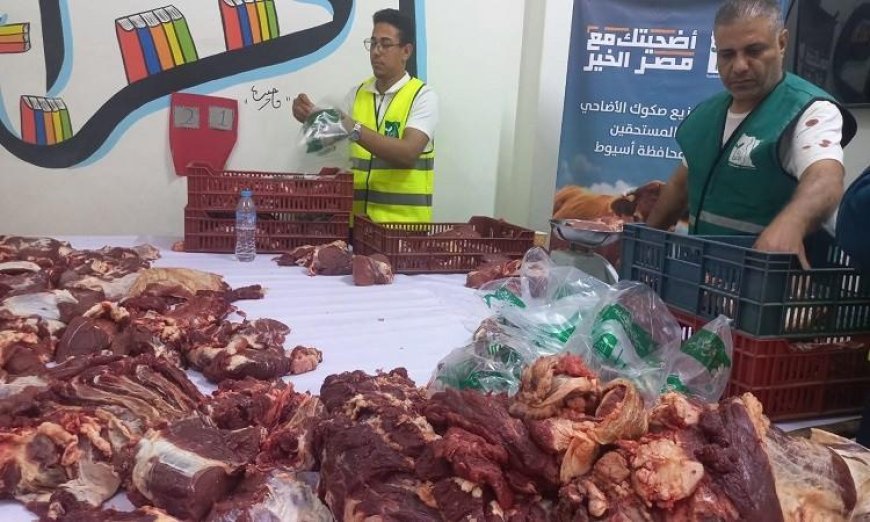 محافظ أسيوط يعلن ذبح وتوزيع لحوم 45 رأس ماشية للأسر المحتاجة
