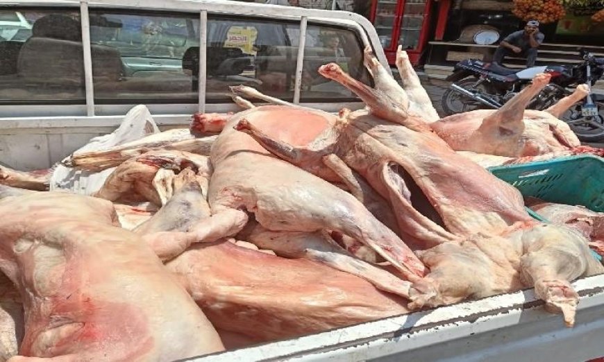 الجيزة تحقق نجاحا كبيرا بضبط 10 أطنان من اللحوم والدواجن غير المطابقة للمواصفات