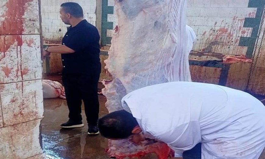 الزراعة تعلن عن ذبح 35514 أضحية مجانية للمواطنين في المجازر الحكومية خلال عيد الأضحى