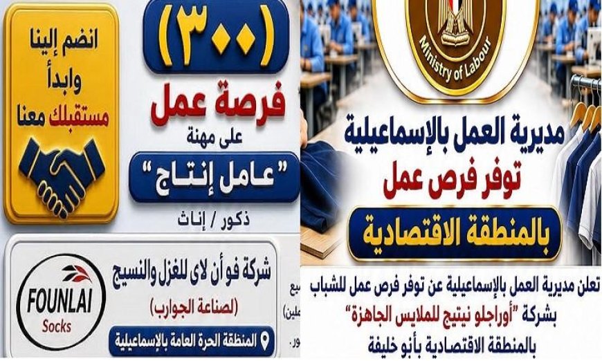 مديرية العمل بالإسماعيلية تعلن عن فرص عمل جديدة في المنطقة الحرة والاقتصادية