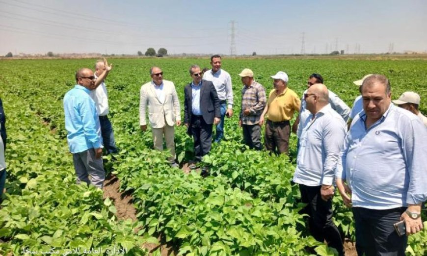 زيارة ميدانية لوزارة الزراعة لمحطات التجارب البحثية في كفر الشيخ خلال عيد الأضحى المبارك